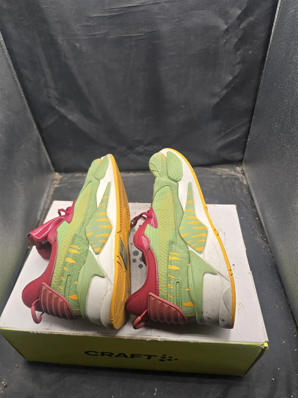 Puma bold color